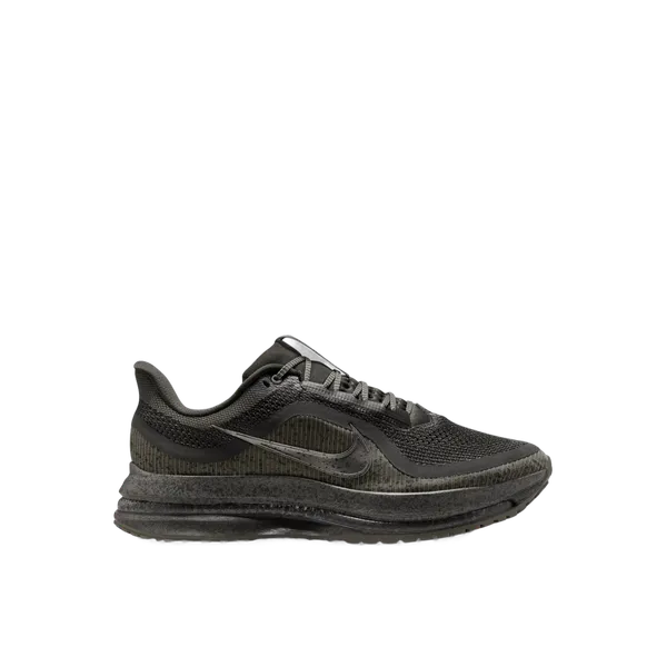 Nike Nike Pegasus Premium SP