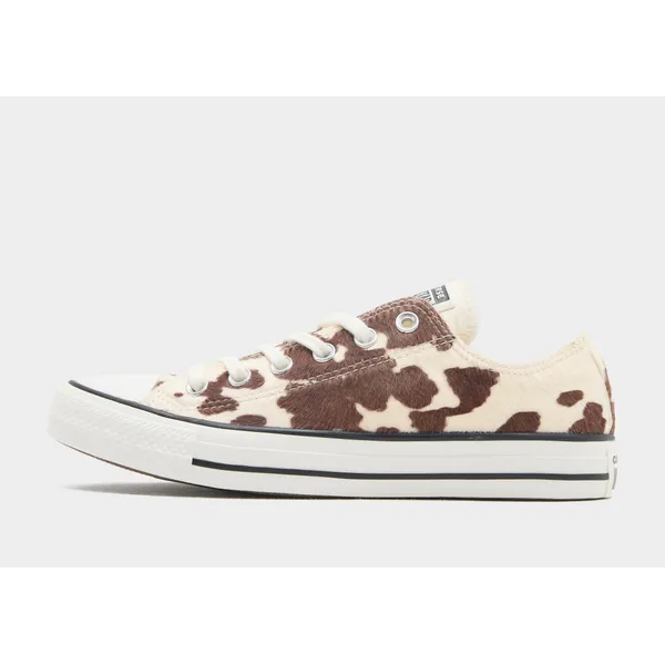 Converse Chuck Taylor Wit