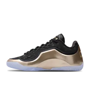 Nike LeBron zwart
