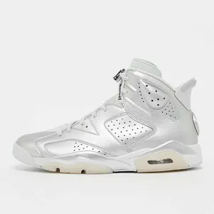 Air Jordan 6 zilver