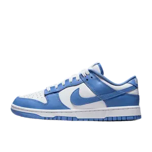 Nike Dunk Low blauw