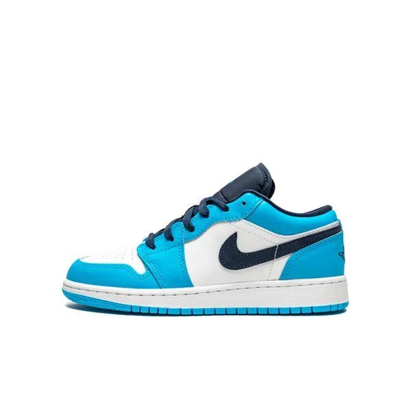 Jordan 1 Blauw