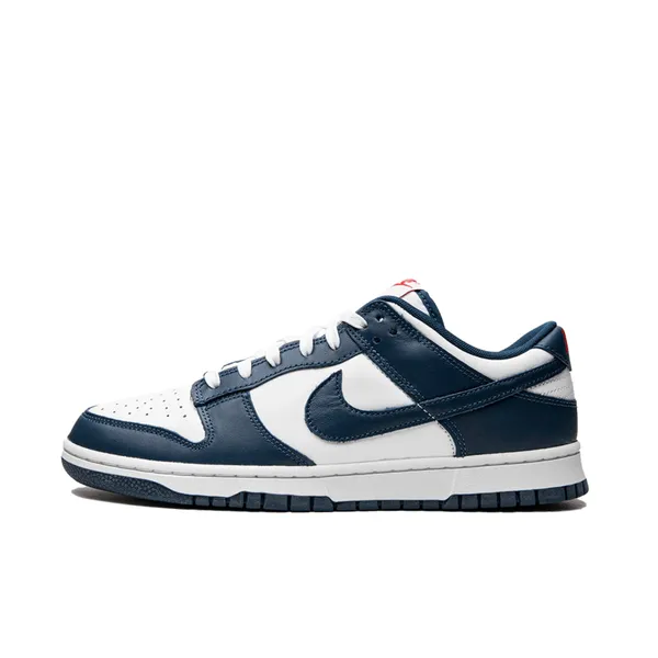 Nike Dunk Low Blauw