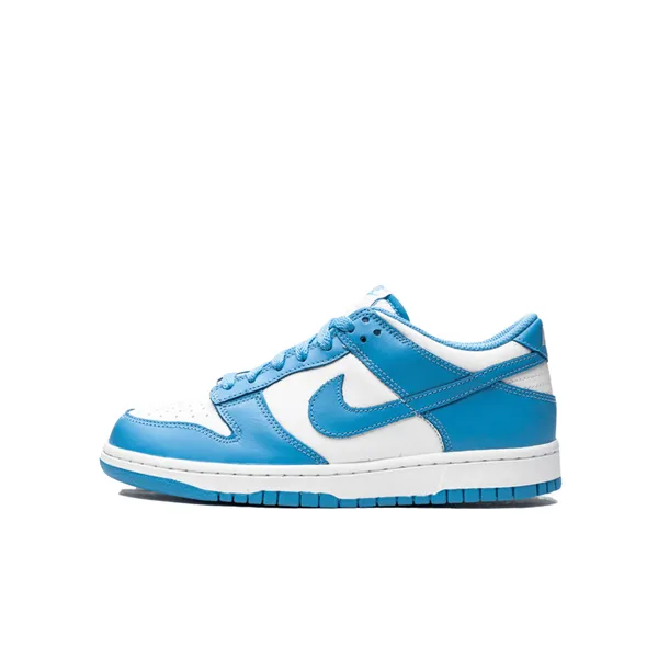 Nike Dunk Low Blauw