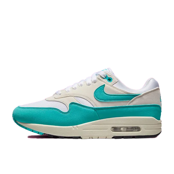 Nike Air Max 1 Dusty Cactus Wit/Turquoise, vergelijk prijzen bij 3 winkels