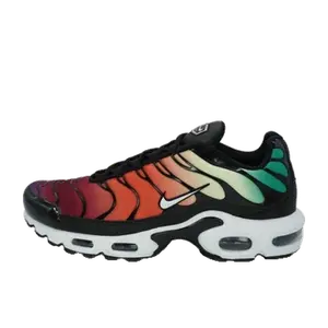 Nike Air Max Plus multicolor
