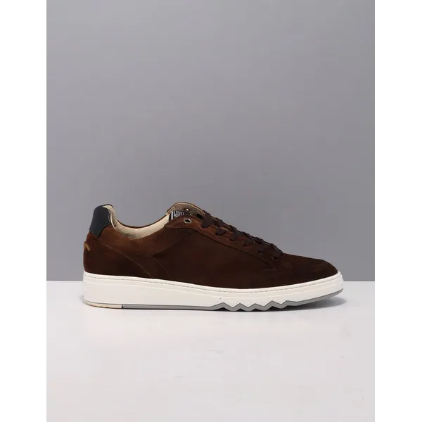 Floris van Bommel SFM-10183 Bruin