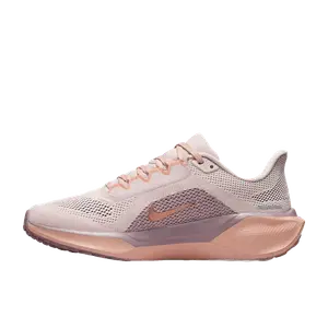 Nike Pegasus multicolor