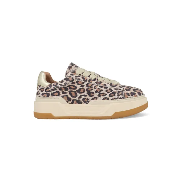 DWRS LOT Leopard 02-7208 Champagne Rosé Goud, vergelijk prijzen bij 1 winkel