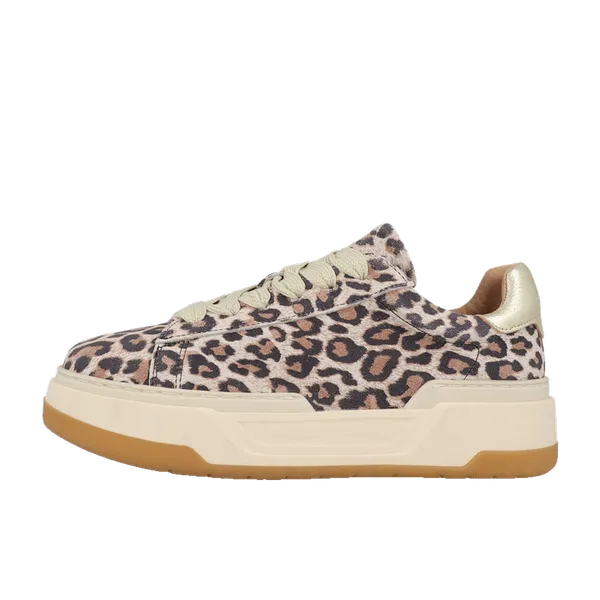 DWRS LOT Leopard 02-7208 Champagne Rosé Goud, vergelijk prijzen bij 1 winkel
