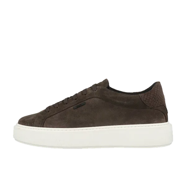 Antony Morato 9073 Bruin, vergelijk prijzen bij 1 winkel