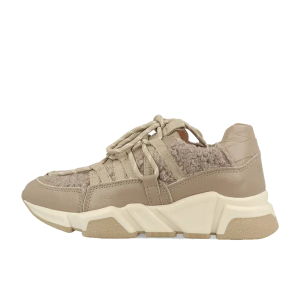 Dwrs Los Angeles Teddy B9101-89-8008 Grijs/Taupe, vergelijk prijzen bij 1 winkel