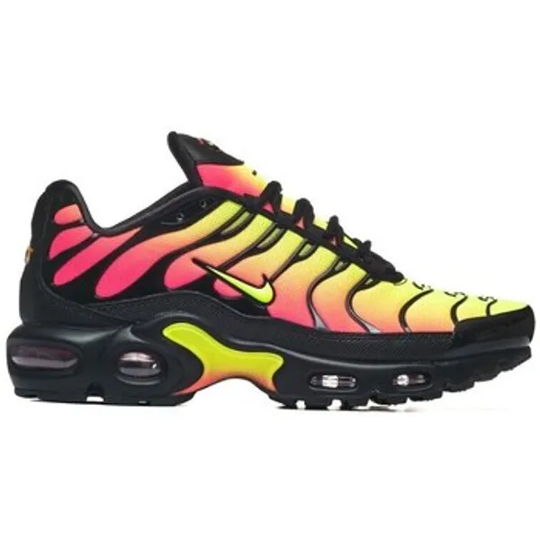 Nike Air Max Plus multicolour