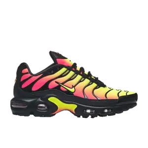 Nike Air Max Plus multicolor