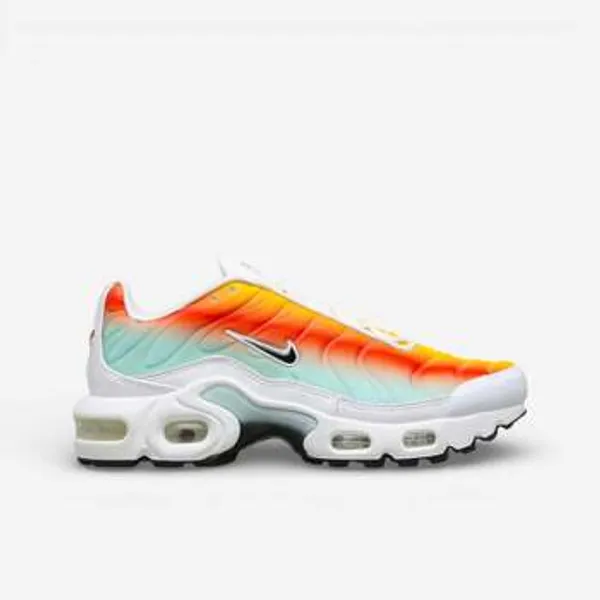 Nike Air Max Plus Wit