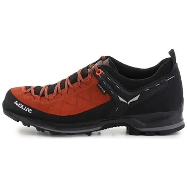 Salewa MS Mtn Trainer 2 GTX Multicolor, foto 2 van 2