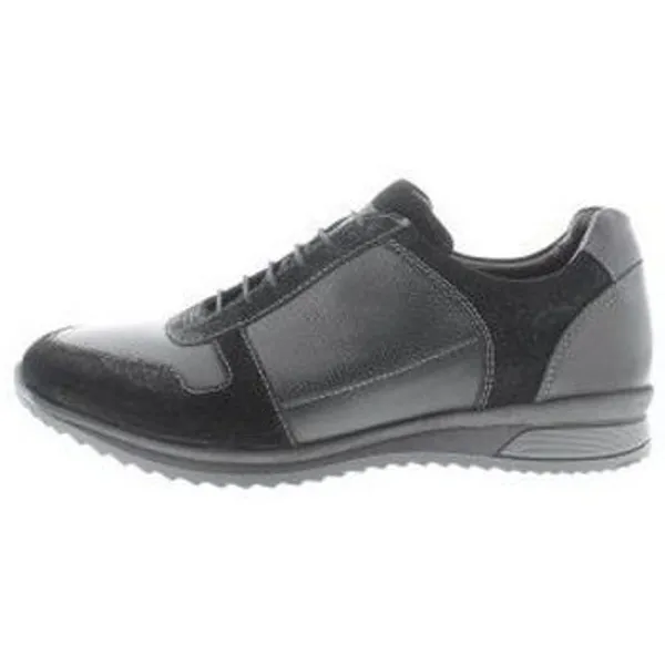 Solidus Sneakers  Harry G Zwart