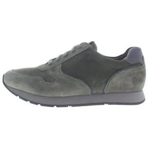 Solidus Sneakers  Harry H Groen
