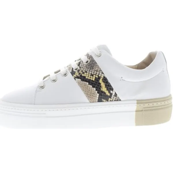 Roberto D Angelo Sneakers  Evora Wit