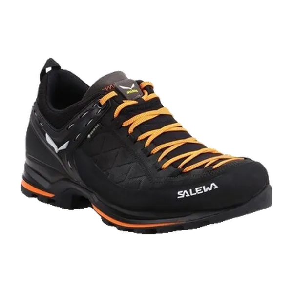Salewa Buty Męskie MS Mtn Trainer 2 GTX Zwart, vergelijk prijzen bij 1 winkel