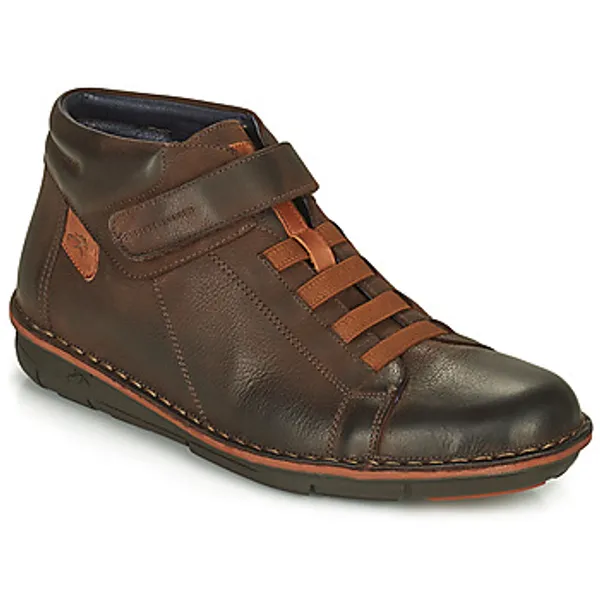 Fluchos Alfa Bruin, foto 2 van 2