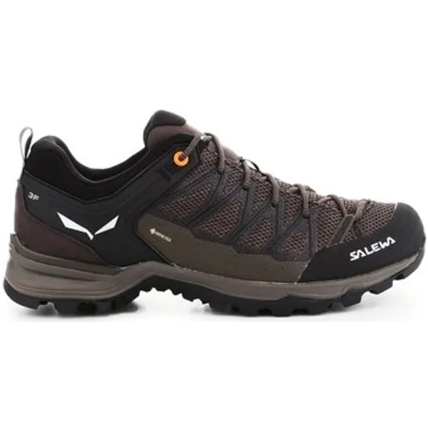 Salewa Wandelschoenen  Mtn Trainer Lite Gtx multicolour
