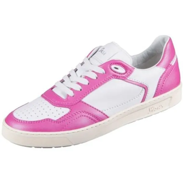 Sioux Lage Sneakers  Tedroso Da 700 multicolour