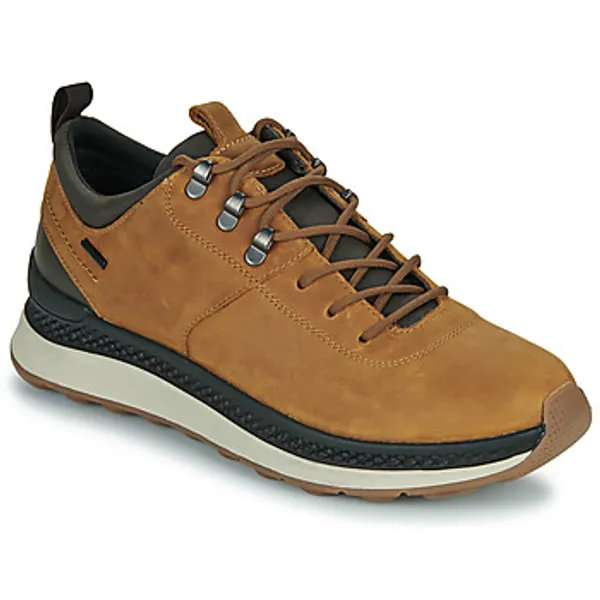 Geox Lage Sneakers  U SPHERICA ACTIF X2 Bruin