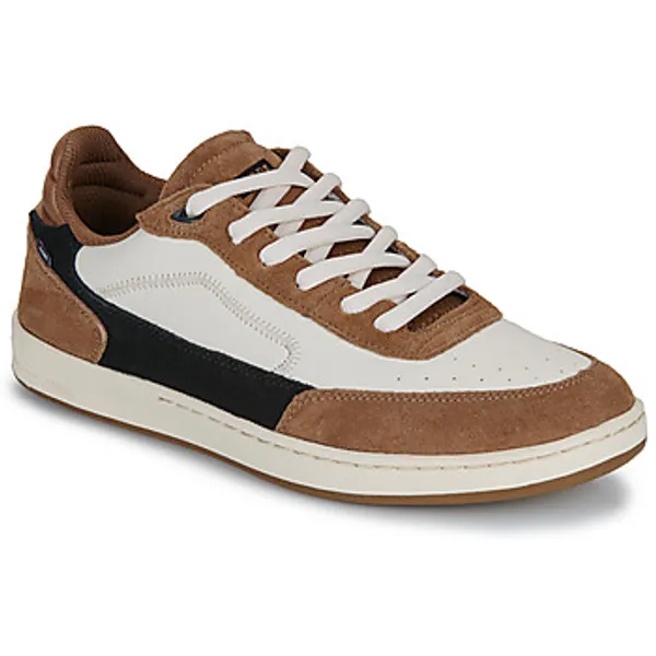 Globe Lage Sneakers  HOLAND Bruin