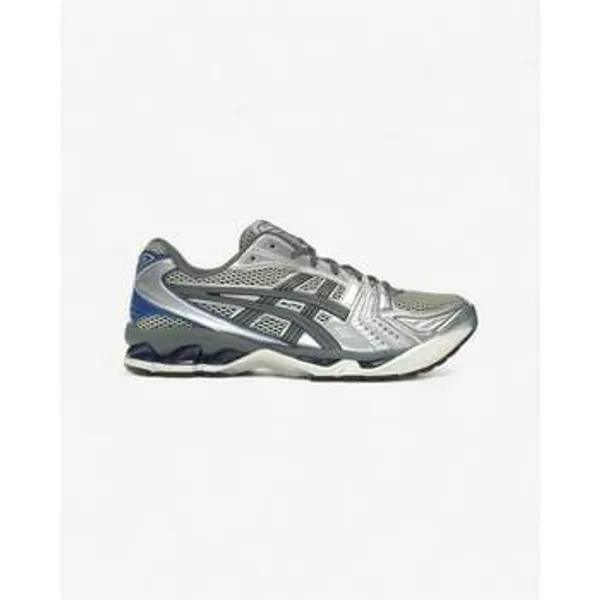 Asics Gel-Kayano Geel