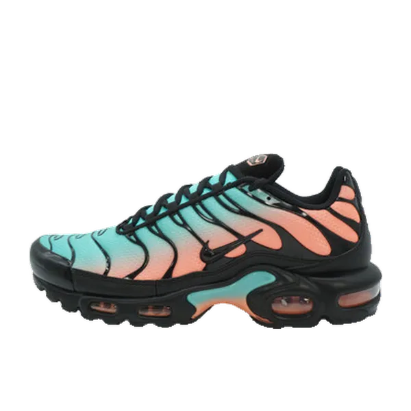 Nike Air Max Plus TN South Beach Zwart, vergelijk prijzen bij 1 winkel