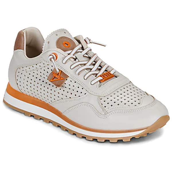 Cetti Lage Sneakers  C-848-V26-NATURE-OFF Beige