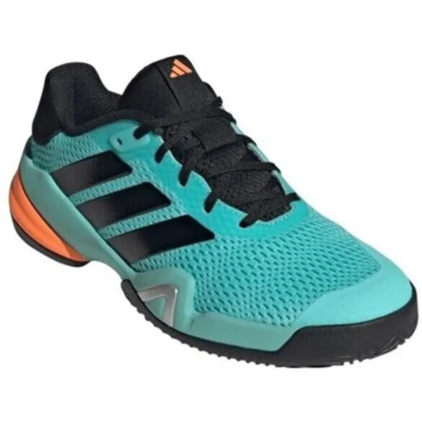 adidas Lage Sneakers  JR4447 multicolour