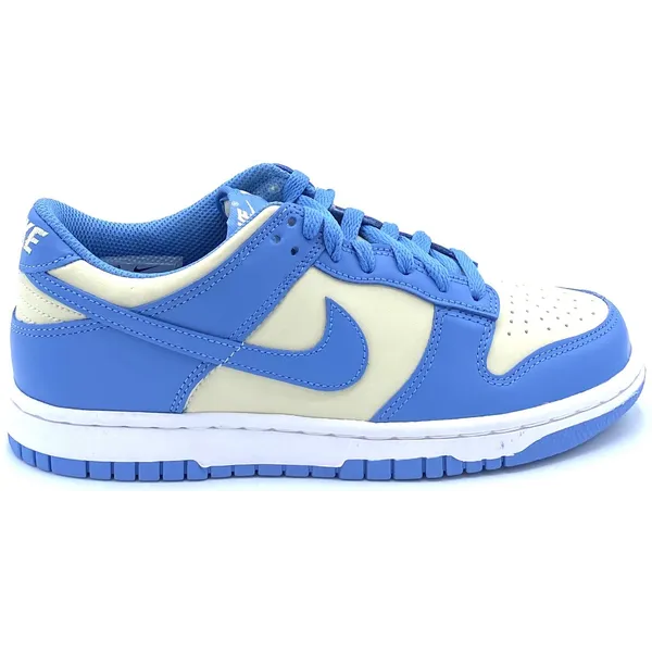 Nike Dunk Low Retro Blauw