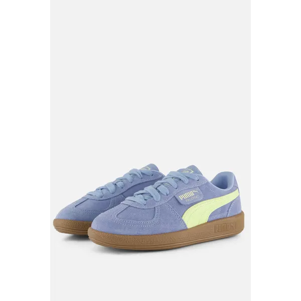 PUMA 101102 Blauw