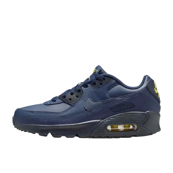 Nike Air Max 90 GTX Blauw, vergelijk prijzen bij 1 winkel