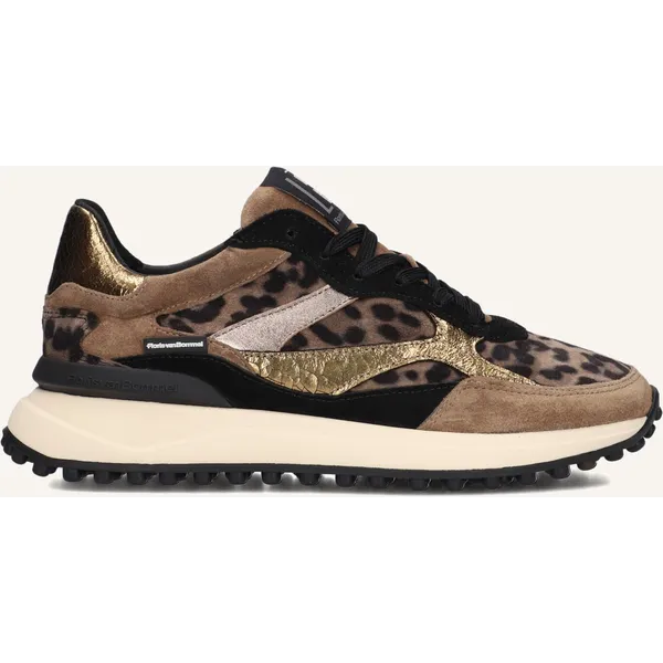 Floris van Bommel Sfw-10085 Noppi Bruin