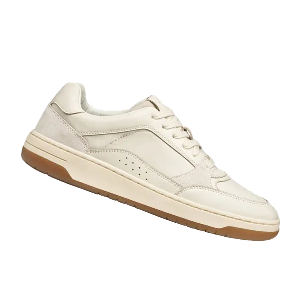 Geox Sedral Court Melkwit/beige, vergelijk prijzen bij 1 winkel