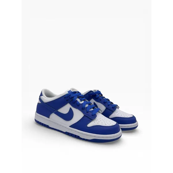 Nike Dunk Low Blauw/Wit