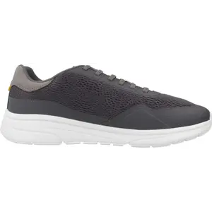Geox Klaiver grijs