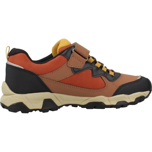 GEOX Magnetar Boy B ABX Bruin