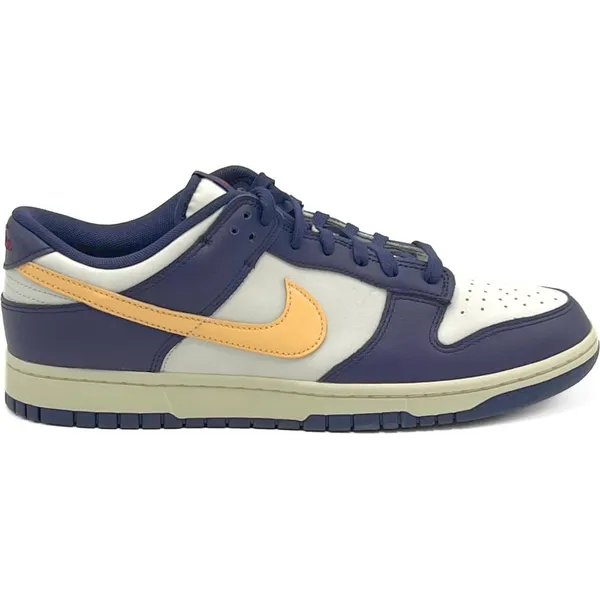 Nike Dunk Low Retro Blauw