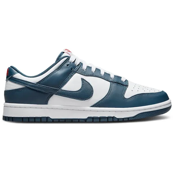Nike Dunk Low BLAUW