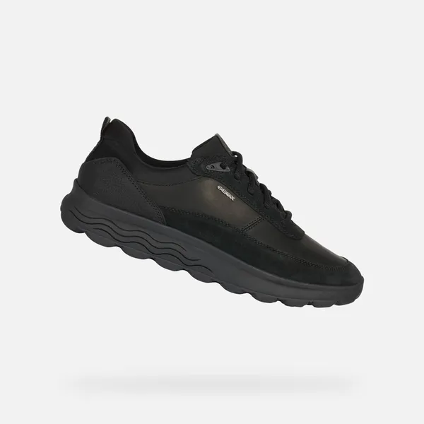 Geox Sneakers Noir
