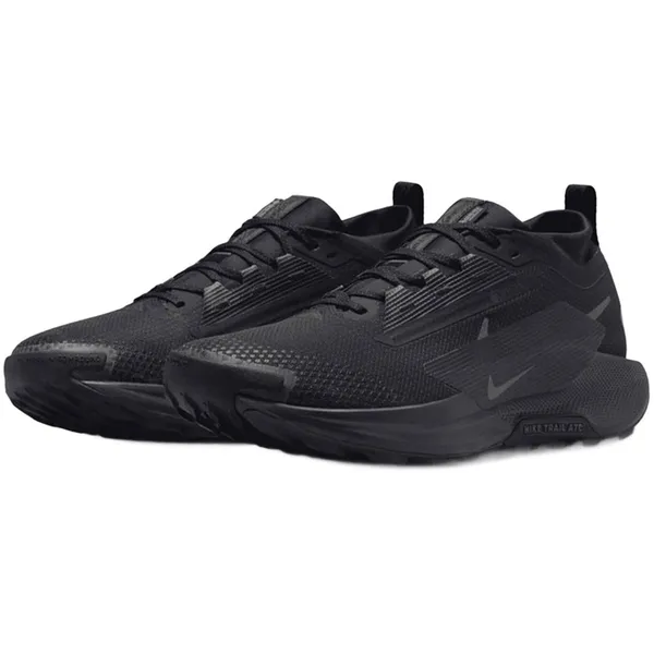 Nike Pegasus Trail 5 GORE-TEX veelkleurig