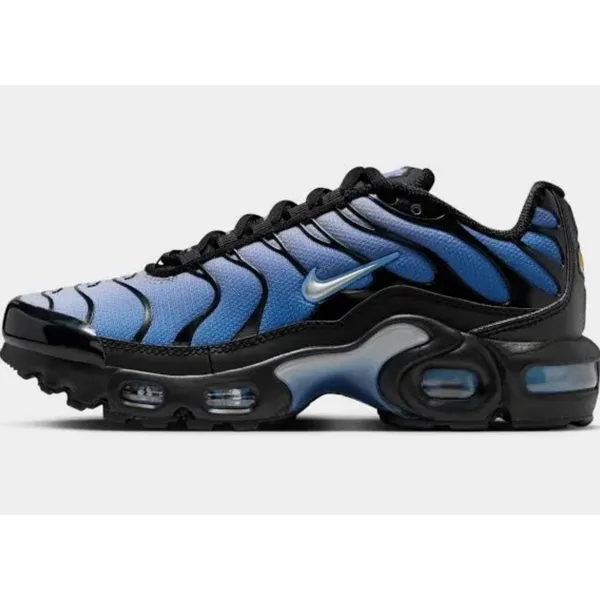 Nike Air Max plus Blauw