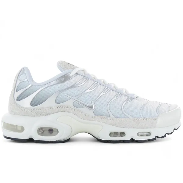 Nike AIR MAX PLUS FN7813-001 Grijs