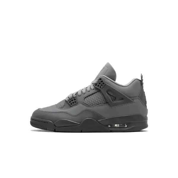 Nike Nike Air Jordan 4 SE 'Wet Cement' - Paris Olympics