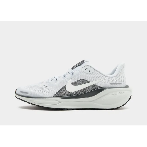 Nike Pegasus Grijs