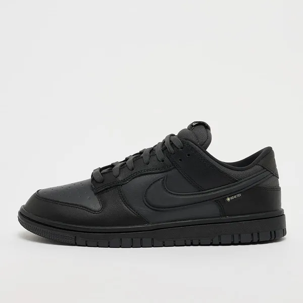 Nike Dunk Low GTX — vergelijk prijzen bij 1 winkel